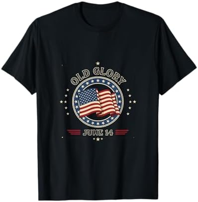 Amazon.com: Flag Day shirt - American Flag apparel T-Shirt